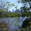 central-park_06